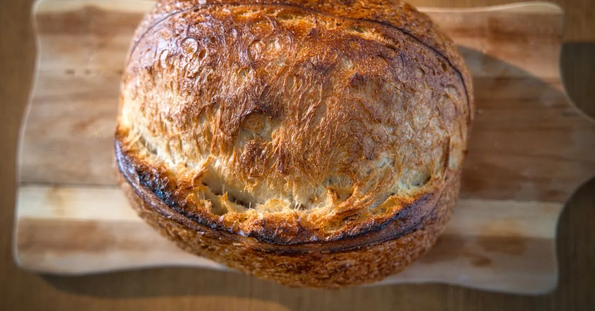 découvrez le levain déshydraté : une façon pratique de conserver votre levain et de le réactiver pour préparer du pain maison.
