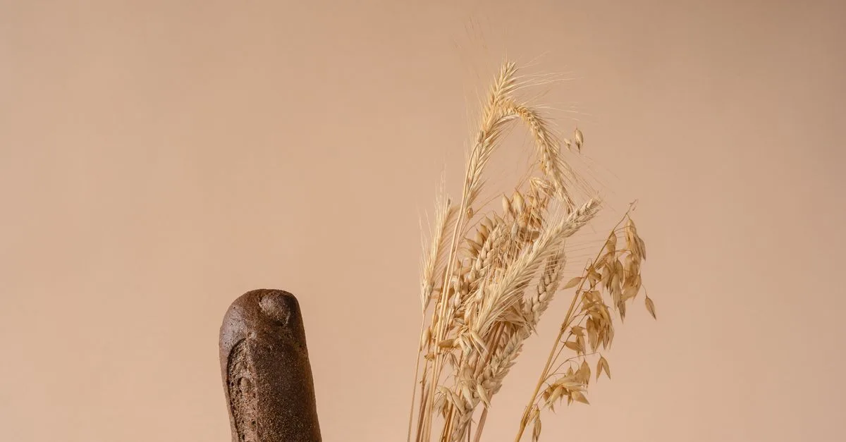 découvrez le ratio idéal de levain de seigle pour réussir un pain de blé savoureux, bien levé et à la mie équilibrée.