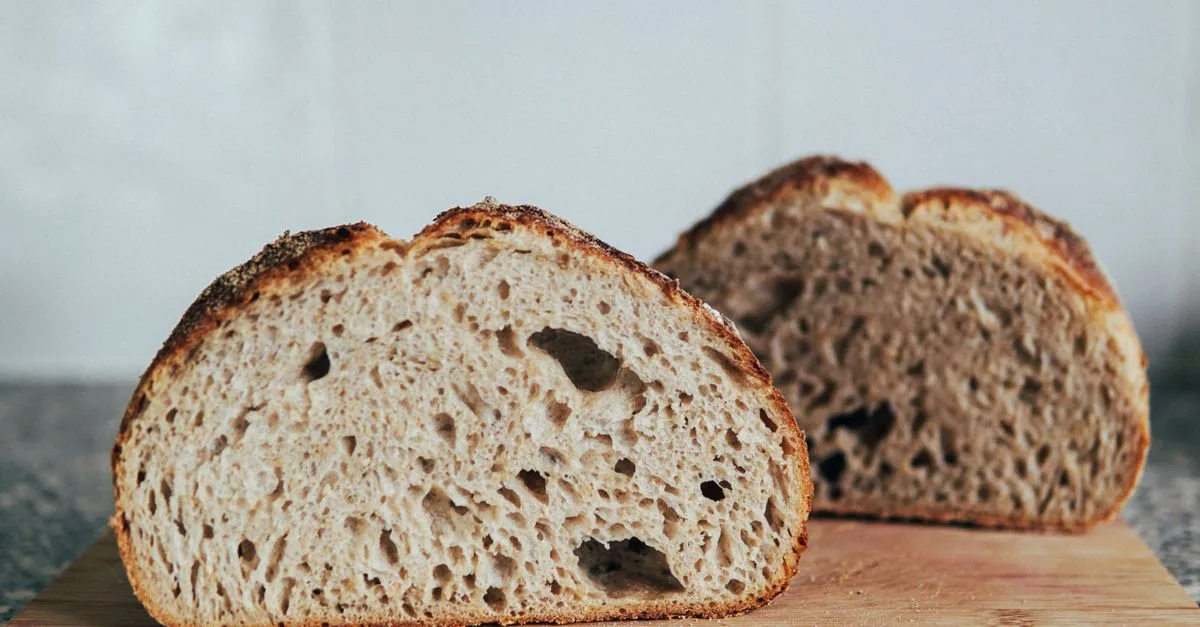 apprenez quand et comment nourrir votre levain, choisir les bonnes proportions et le garder actif pour réussir de délicieux pains maison.